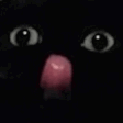 y_tmock