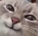 catsmirk