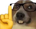Nerd1