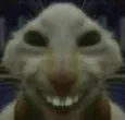 XD