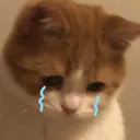 4cat_crysad 4cat_crysad