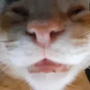 ecksdee4