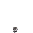 catBrick