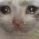 c_obidno c_obidno