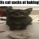 Pussycat Discord Emoji