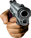 Gun
