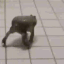 frogsjem Discord Emoji