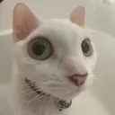 __