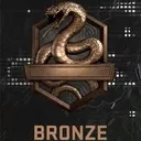 bronzelogomw2 Discord Emoji