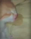 snorkmimimimimi
