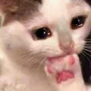emoji_36