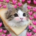 Awwwww Awwwww