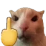 grrrrr