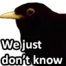 dunnobird