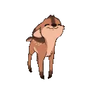 dd_deer_nod_NA
