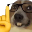 nerd_pies