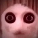 stare