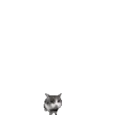bowtiecat_throws_a_brick_at_you