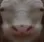 cringesmile