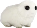 tbh_irl