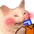 zCattoSip