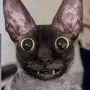 pixel_stare