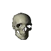 skull_spin