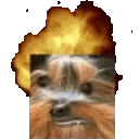 BBExplode