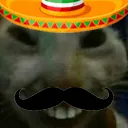 mexdd
