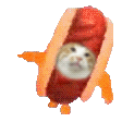 hotcat Discord Emoji