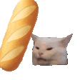 Baguettecat Discord Emoji