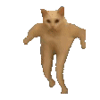 Catrun catRun Discord Emoji