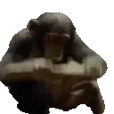 MonkaSLAM