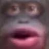 monkeXLips