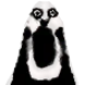 OFORTUNA