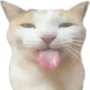 blehhhhh