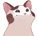 Cat Bop catbop Discord Emoji