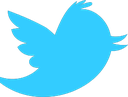 Twitter Discord emoji