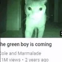 greenboy
