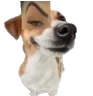 Dogyah Dogyah