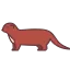 weasel