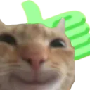 GC_yescat