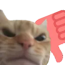 GC_NoCat