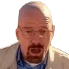 CMC_mfw