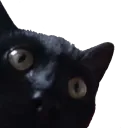 mariopeek