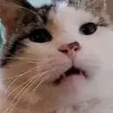 paglihorror