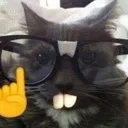cat_nerd