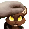 petDaMink