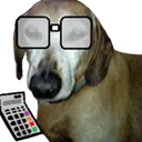 doggonerd doggonerd