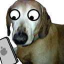 DC80602EB07F43A29E7CD9CA3AB9C5BC